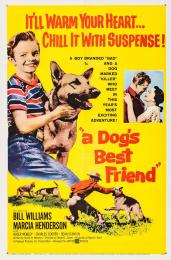 DOG'S BEST FRIEND, A