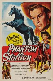 PHANTOM STALLION